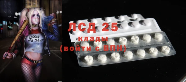 прущие грибы Каменка