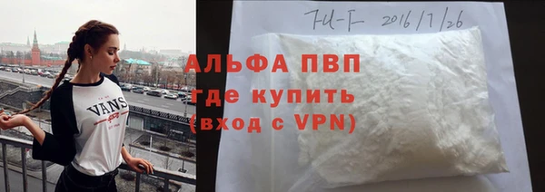 прущие грибы Каменка