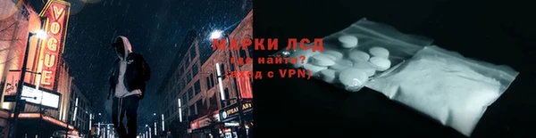 прущие грибы Каменка