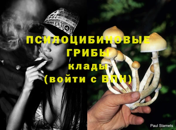 прущие грибы Каменка