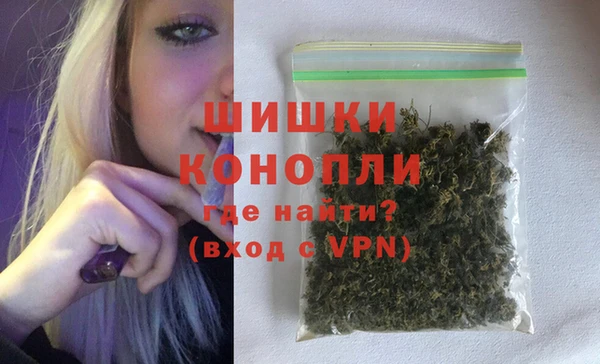 прущие грибы Каменка
