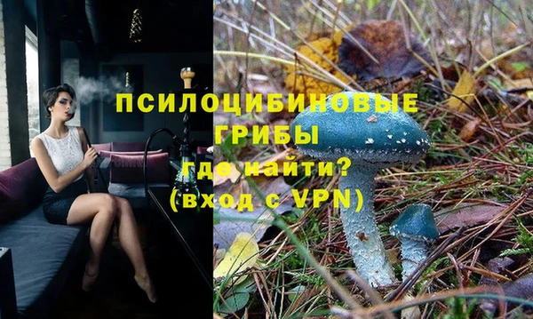 прущие грибы Каменка