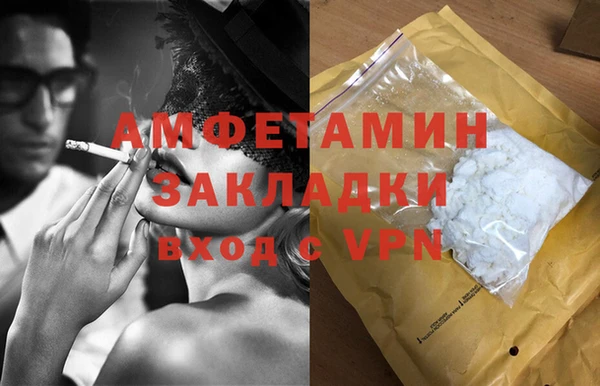 прущие грибы Каменка