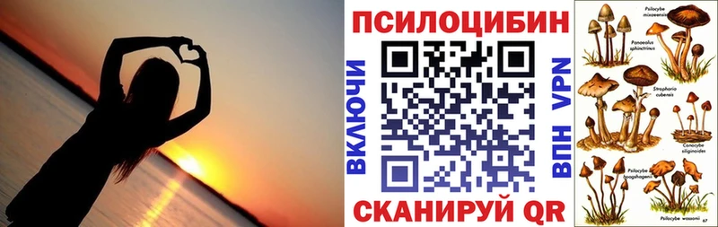 Купить  Чердынь  Псилоцибиновые грибы Magic Shrooms 